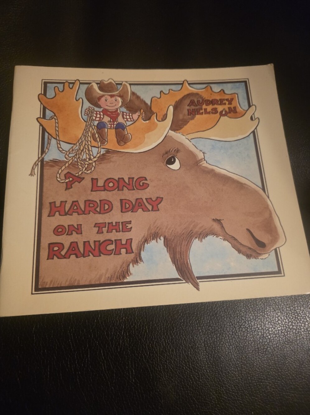 A Long Hard Day on the Ranch No CD Audrey Nelson kids book spend summer away!